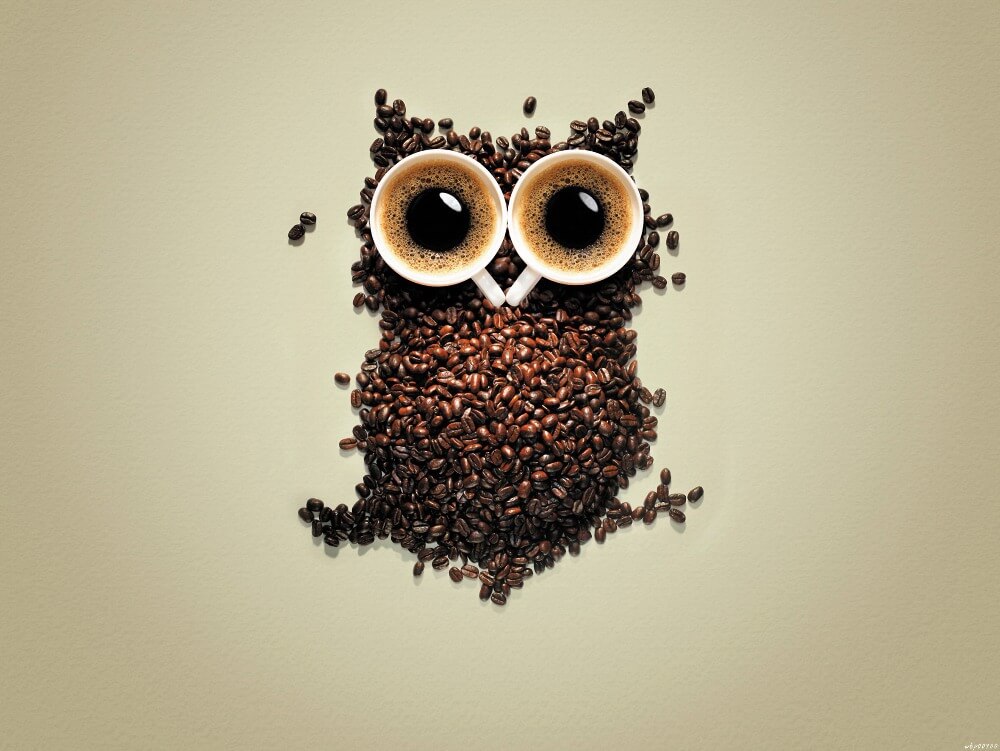 Coffee House Poster Owl